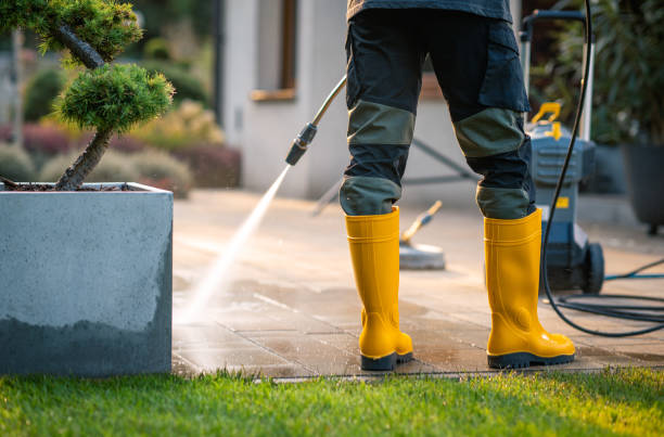 Local Pressure Washing Services in Bloomingdale, FL